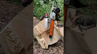 Forestry🌲💯 #chainsaw #forstwirtschaft #500i #forest #stihl #forest #wood #machine #work #wald