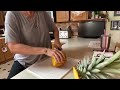 My delicious Pineapple, journey from the flower to a fruit! I hope you enjoy! 🍍