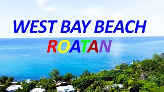 Come To Visit West Bay Beach Roatan Honduras | Explore One Of Time Magazine's Best Beaches!