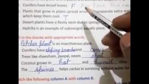 Class 4 science ch-2 quick assignment exercise-A, B, C