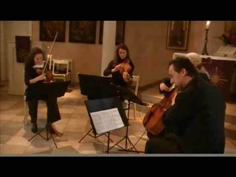 Mozart Fltenquartett D-Dur, KV285, Adagio, Roloff-Quartett