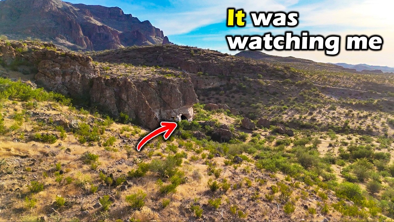 Я отправился в поход к древним руинам и нашел это!