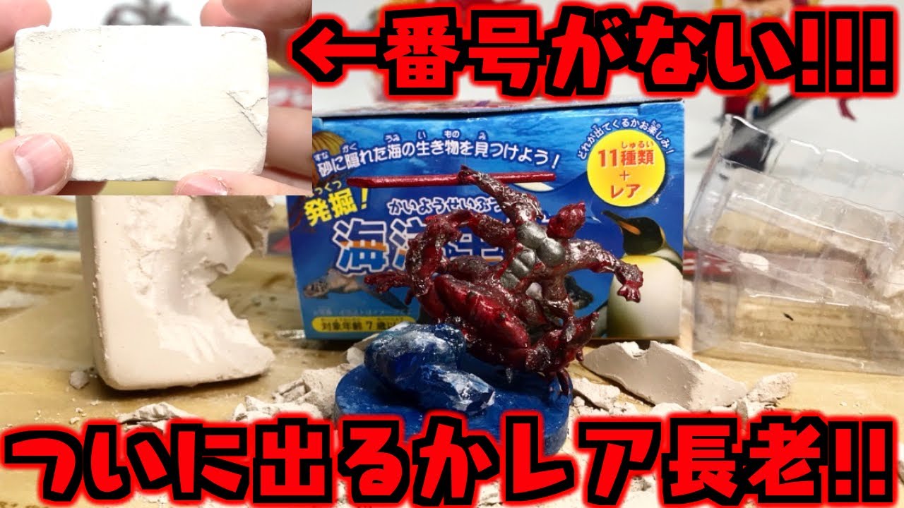 番号がないだと！ついにレアシークレット長老か！『発掘！海洋生物