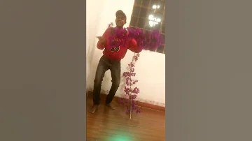 Harusi Maua 
