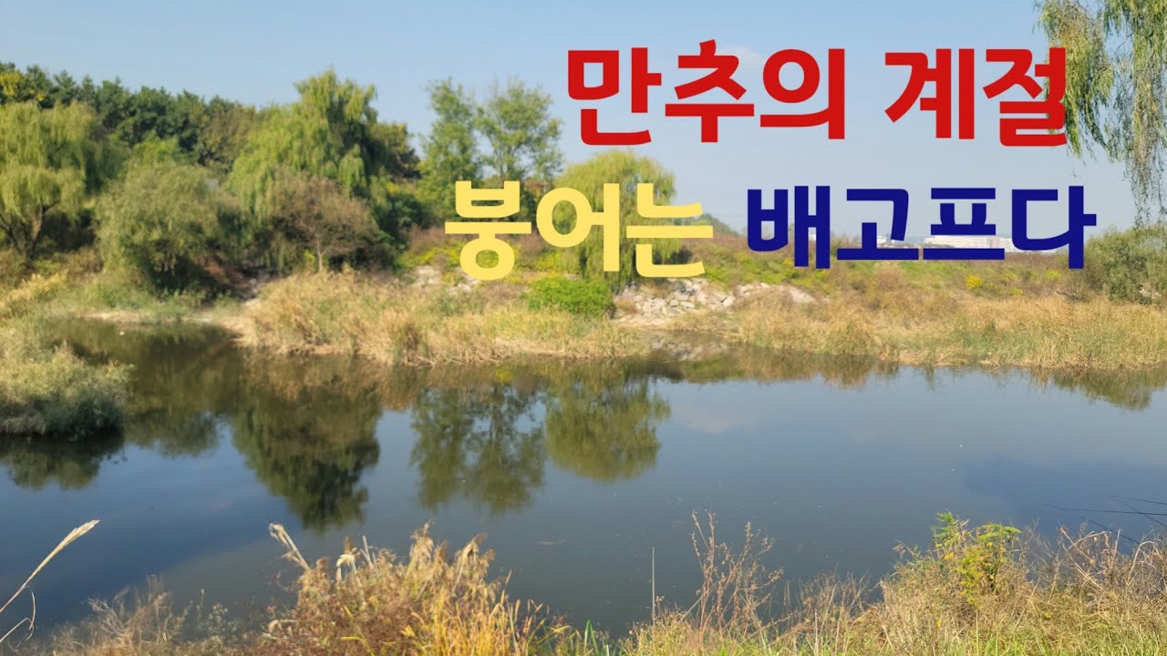 다시 살아난 검단수로 석축포인트!! 붕어낚시