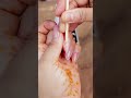 Powerfull Nail Removal Exsivia nail glue remover #nailglueremover #nailremover #pressonnails