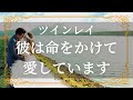 ツインレイ　彼の深すぎる愛の理由　強いの覚悟に裏付けされた誠実な愛