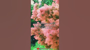 اللهم أهدنا وتقبل منا🌻#آيات #سورة #قرآن #قران_كريم #اكسبلور #اكسبلور_explore #quran #explore