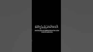 الشيخ ياسر الدوسري سوره مريم #ياسر_الدوسري #اكسبلور #راحة_نفسية #لايك #حالات_واتس #شاشه_سوداء