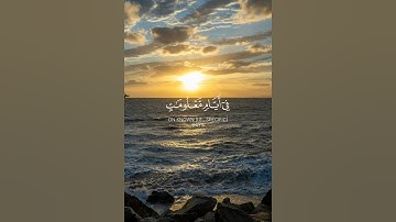 تلاوه هادئه للقارئ عبدالرحمن مسعد