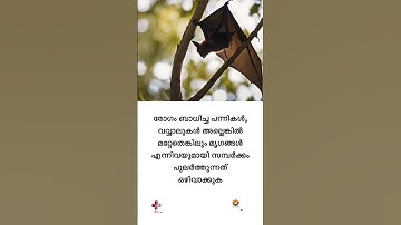 How to prevent nipah? നിപ എങ്ങനെ തടയാം.#nipahvirus #nipah