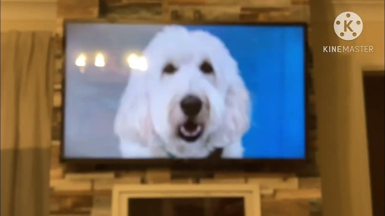 flash-speed-mop-advert-2020-to-2020-youtube