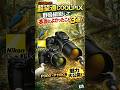 【超望遠3000mmの新世界】COOLPIX P900・P1100で野鳥撮影が劇的に変わった3選【Nikon】