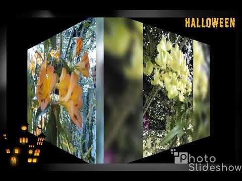 Home & Garden*** - YouTube