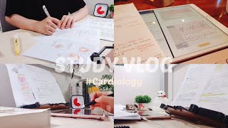 A realistic exam week: Cardiology study vlog | Korean Med Student