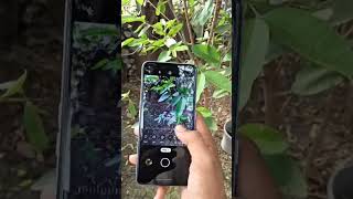 Creative photography with budget smartphone 📱 || #smartphone #creativephotography #photographyideas