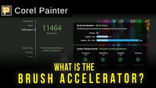 What is the Brush Accelerator - Corel Painter Tutorial