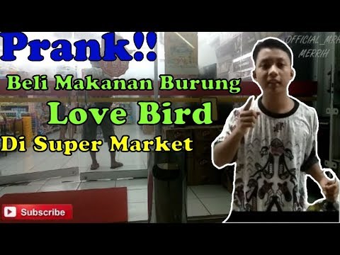 prank-indonesia!!!-kocag-|-beli-makanan-burung-love-bird-di-super-market