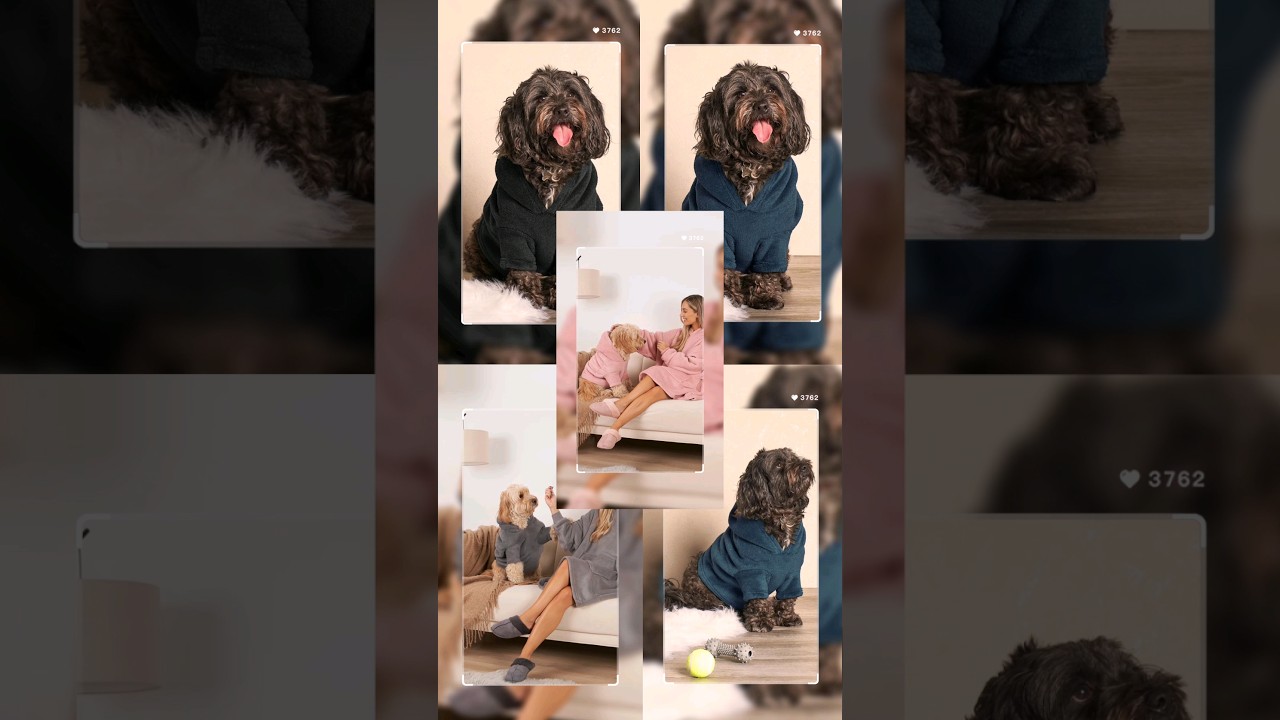 Sudadera para tus mascotas 🐕‍🦺🐕 