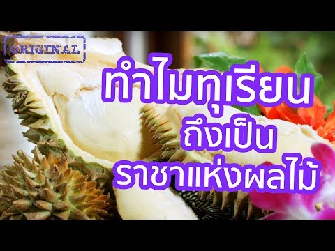 วีดีโอ: ทุเรียนเป็นราชาแห่งผลไม้