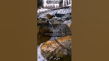 #سورة_القصص#ياسر_الدوسري#قران_كريم#جمعة_مباركة#المصحف#راحة_نفسية#الله#صلوا_على_النبي#fypシ#like#duet