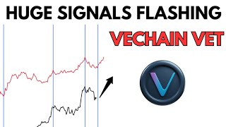 VET: Massive Signals for VECHAIN Flashing 