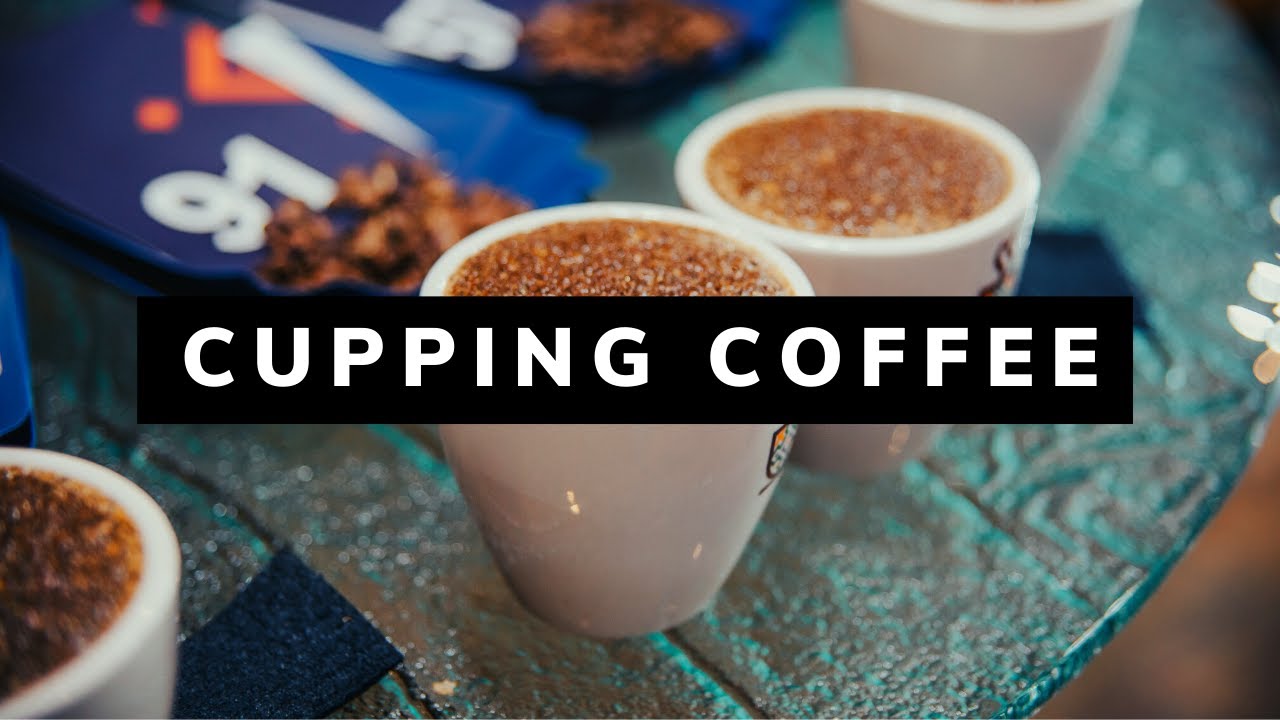 Cupping Coffee in Guatemala