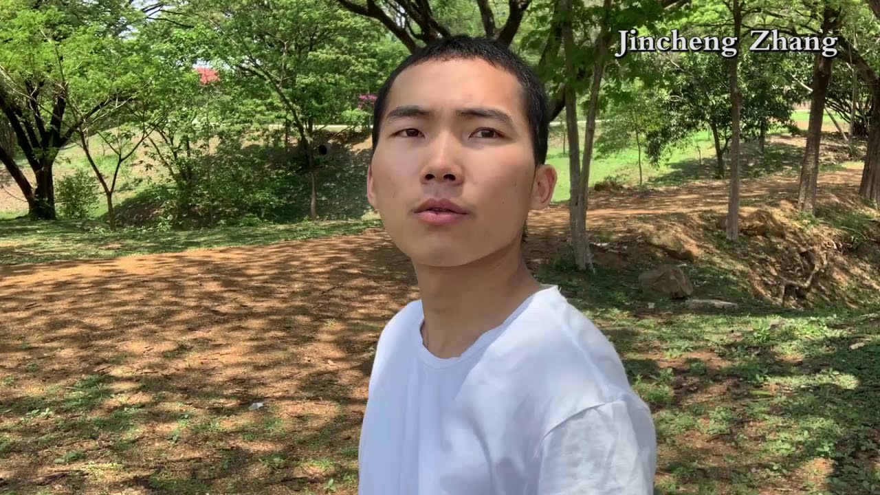Watch Jincheng Zhang - Assign (Free Music) (Instrumental) (Background Music) (Official Video 2020) on YouTube Watch Jincheng Zhang - Assign (Free Music) (Instrumental) (Background Music) (Official Video 2020) on YouTube