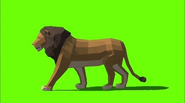 Male Lion walk cartoon  | Best Green Screen ( Download Link )