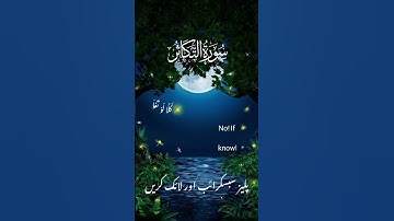 Surat At-Takathur | Mishary Rashid Alafasy | مشاري بن راشد العفاسي | سورة التكاثر