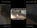 It's cruel world out there be safe #gta #automobile #viralvideo #fyp