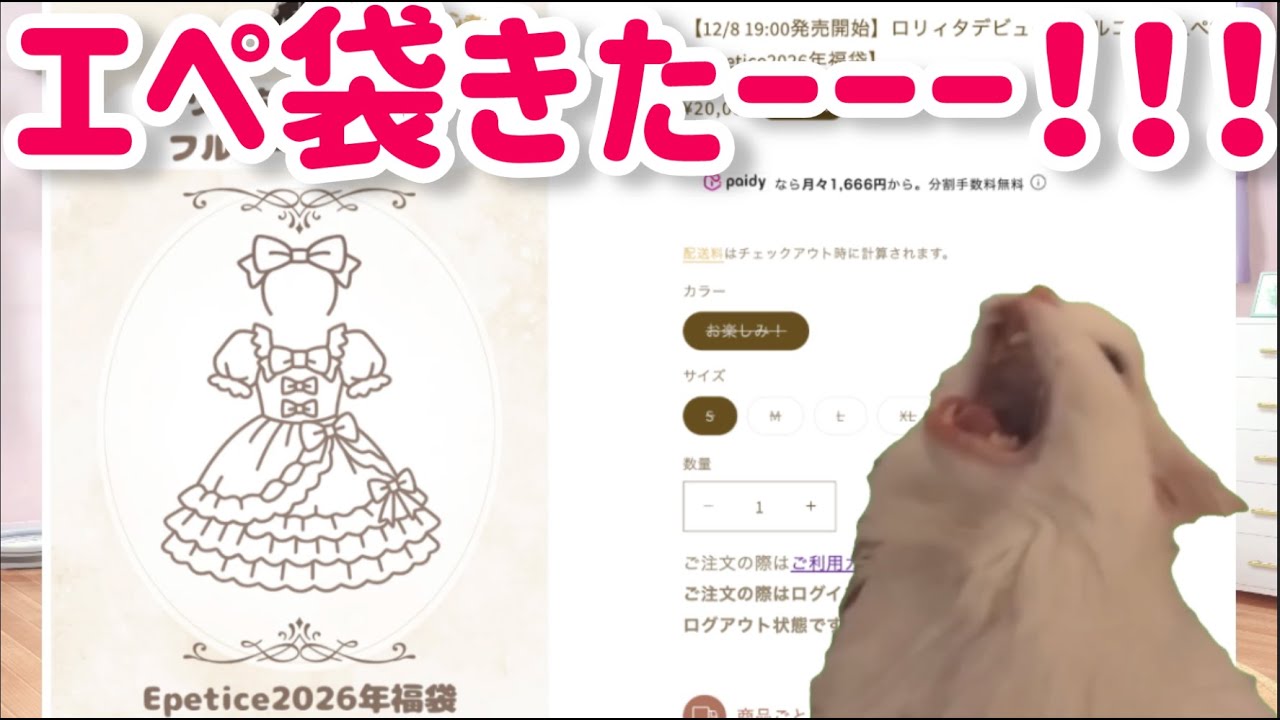 Epetice 福袋 M えぺ袋 エペティス Epetice 福袋 M えぺ袋 エペティス - メルカリ