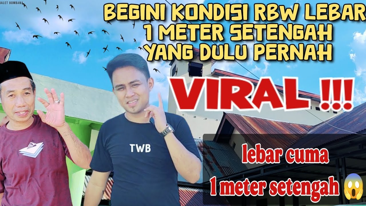 RBW cuman lebar 1 meter setengah kini sudah panen kiloan binaan TWB