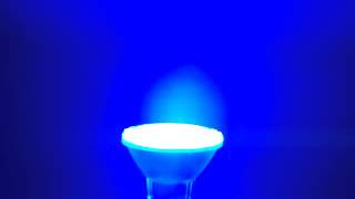 Sunlite 80001-SU PAR20/LED/6W/B