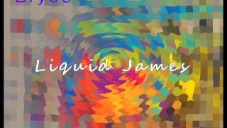 Bryce - Upside (Liquid James CD)