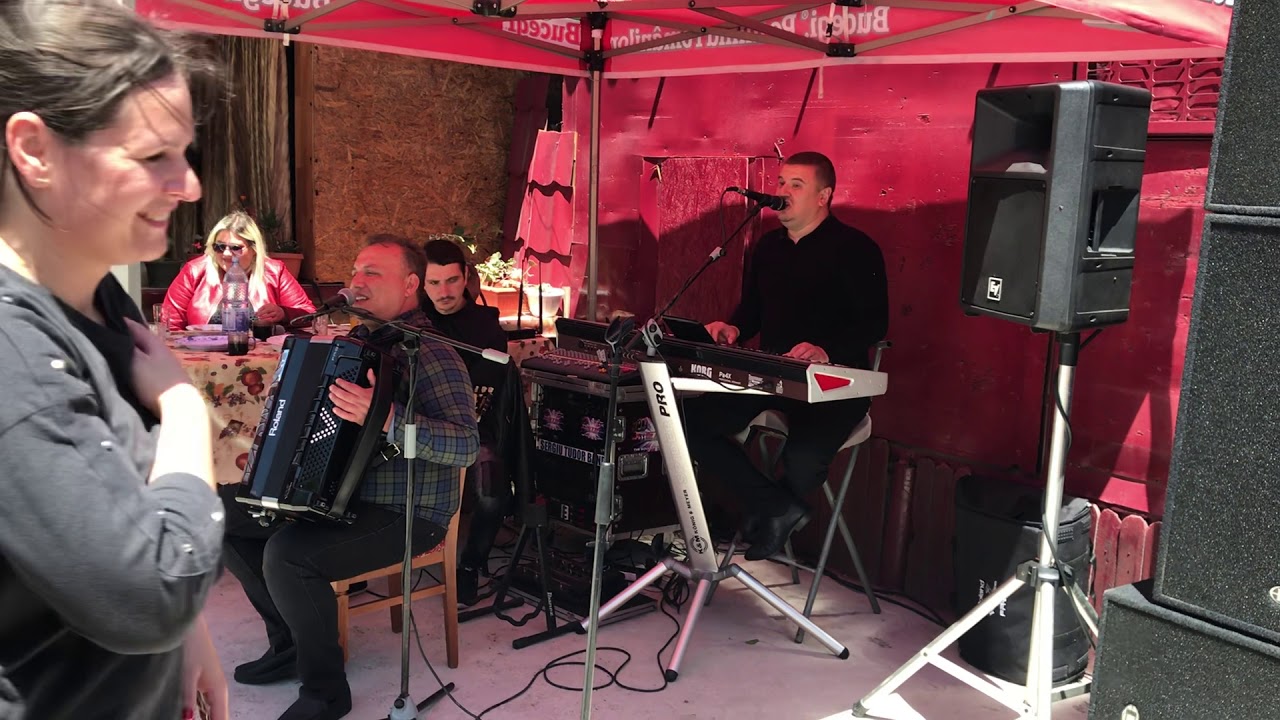 SERGIU STB - JUNGHIUL SI GHIZDEII - Pentru Calin Scirlatescu de la Mirosi