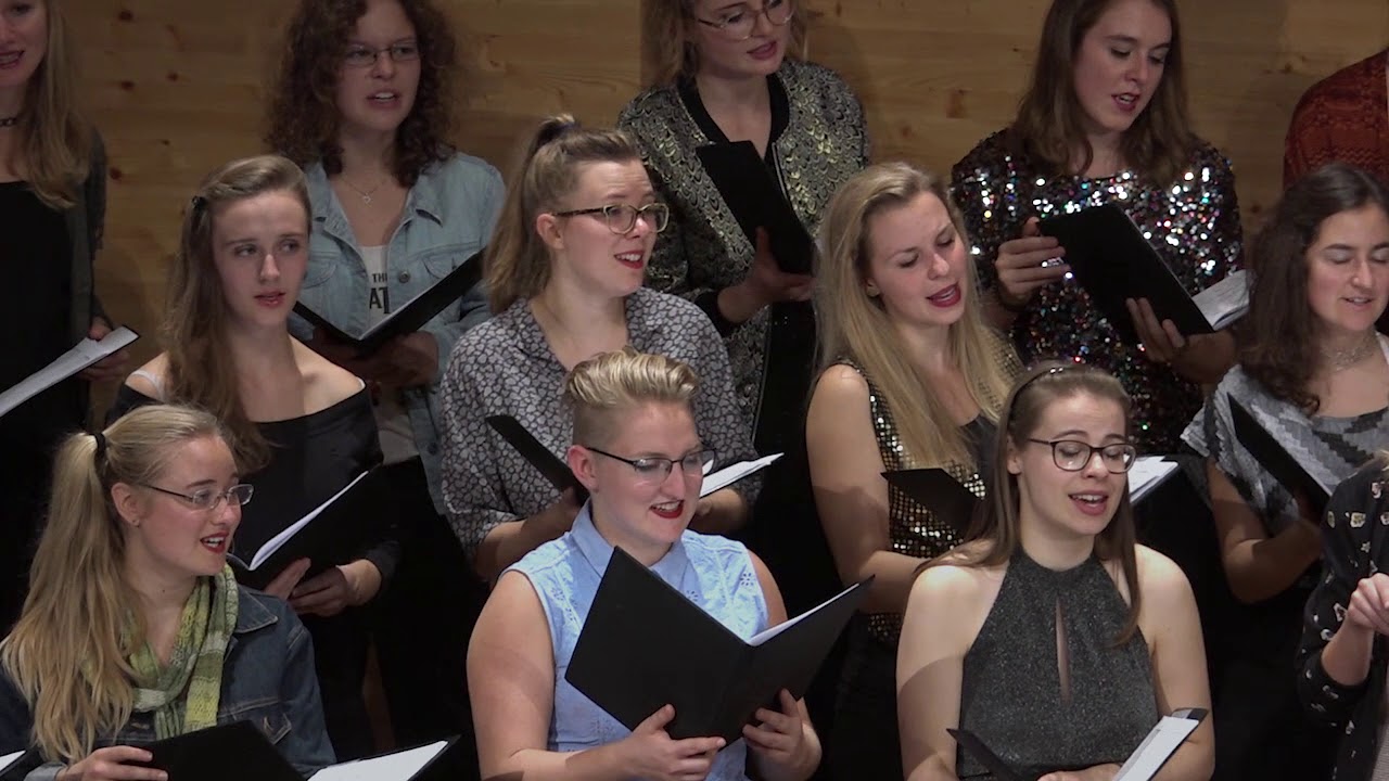 Neue Wiener Stimmen: Sunny