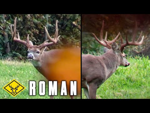 Download "ROMAN" | The QUEST for a 6.5 year old OH Giant Whitetail...