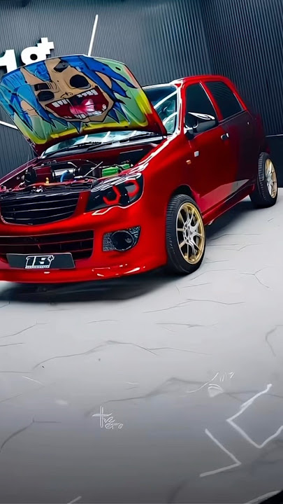 ‼️MODIFIED ALTO K10 ONLY ONE IN INDIA‼️ #shorts #altok10