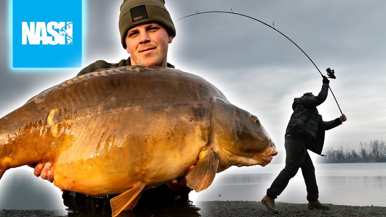 Distanzangeln mit Max Egger | Karpfenangeln in Kroatien