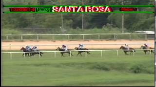 Arima Race Club - Day 33 - September 13, 2014 - Race 1