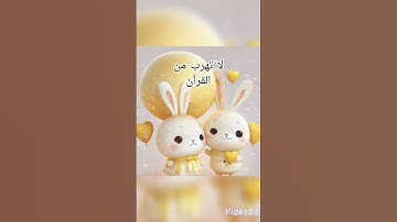 القارئ اسلام صبحي #سورة البقرة💖💖💖