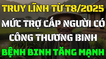 Từ Tháng 8/2025: Truy Lĩnh Mức Trợ Cấp Mới Cho Người Có Công, Thương Binh, Bệnh Binh!