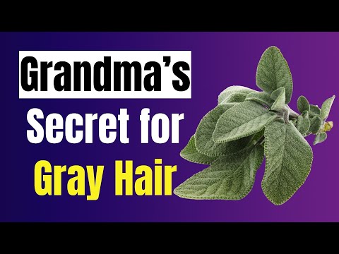 Video My Grandma's Simple Trick for NO MORE Gray Hair Revealed!