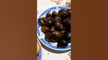 ỐC LUỘC NƯỚC DỪA | NGUYỄN ĐỢI