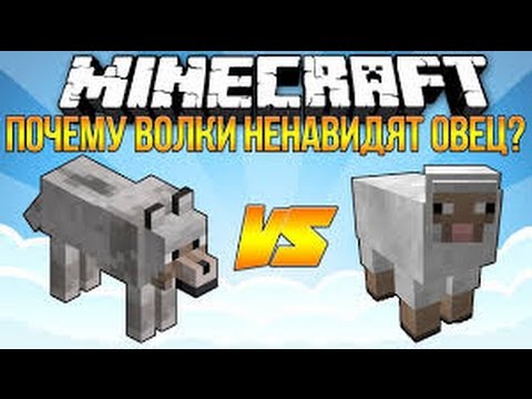 Видео: Почему ВОЛКИ ненавидят ОВЕЦ?! | Minecraft Machinima