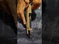 umarex Beretta Elite IA BB Airgun RIFLECA #airsoftcqb #shortvideo #shortsvideo #status