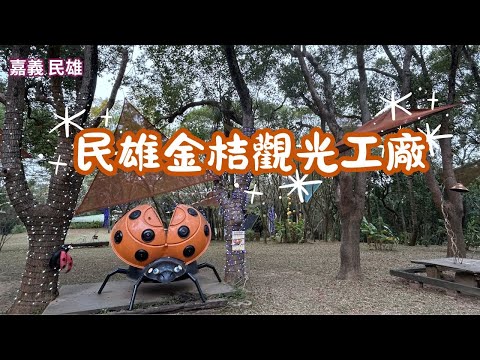 2025 4 嘉義 民雄 民雄金桔觀光工廠免費參觀適合親子同遊好地方還可露營烤肉