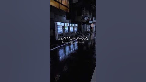 القرآن الكريم ، القارئ ياسر الدوسري #القرآن_الكريم #quran #ياسر_الدوسري