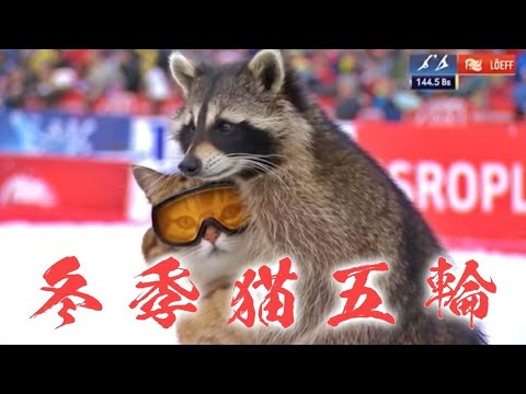 Winter Cat Five-Wheel - YouTube